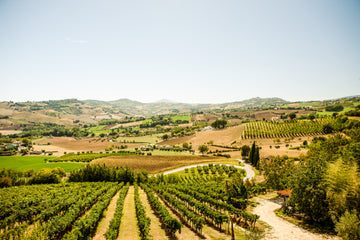 Fattoria Dezi