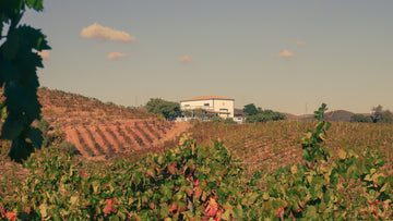 Quinta do Francês